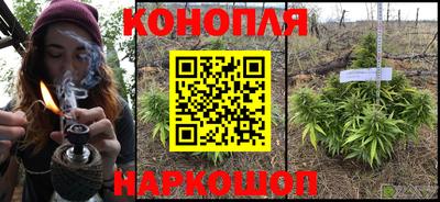 сатива Дубна