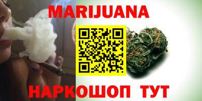 сатива Дубна