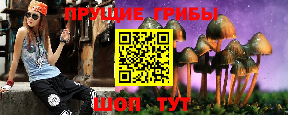 Назарово  Псилоцибиновые грибы Cubensis  Вход с VPN 